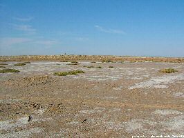 Aral Sea, Uzbekistan - © Giovanni Camici