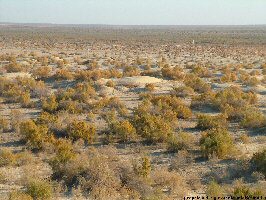 Aral Sea, Uzbekistan - © Giovanni Camici