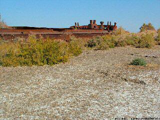 Aral Sea, Uzbekistan - © Giovanni Camici