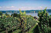 Thurgau, Switzerland - Konstanz Lake