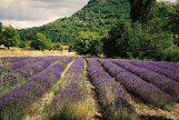 Provence, France