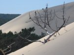 Aquitaine, France - Dune de Pilat