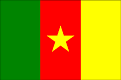 Cameroon  flag