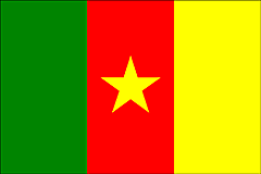 Bandiera Camerun