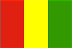 Guinea flag