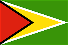 Bandiera Guyana