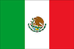 Mexico flag